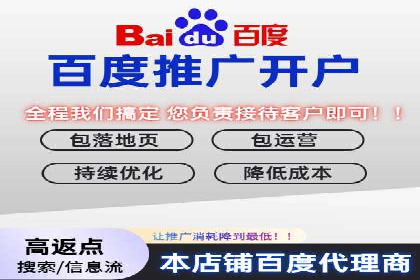 百度推广策略揭秘：某行业领头羊的成功经验